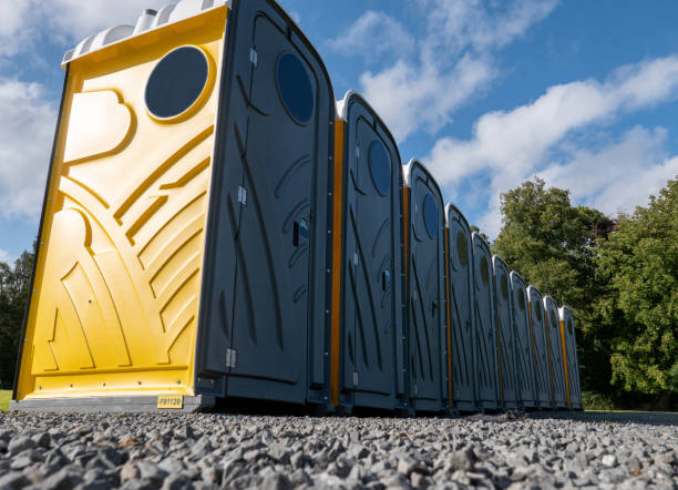 Portable Toilet Rental for Emergency Services in Despard, WV